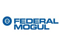 Federal Mogul