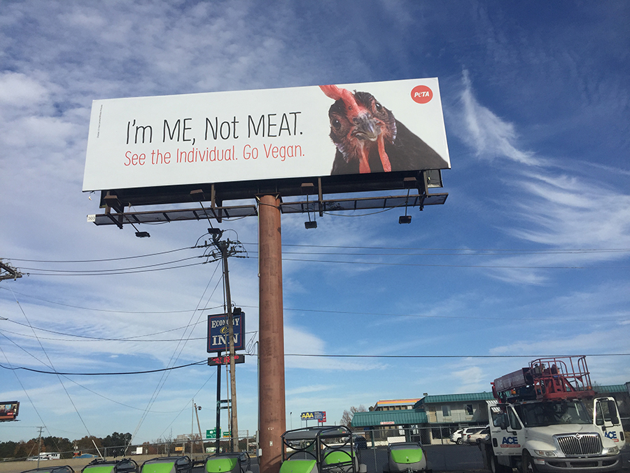 peta-billboard-advertising-campaign-900x675